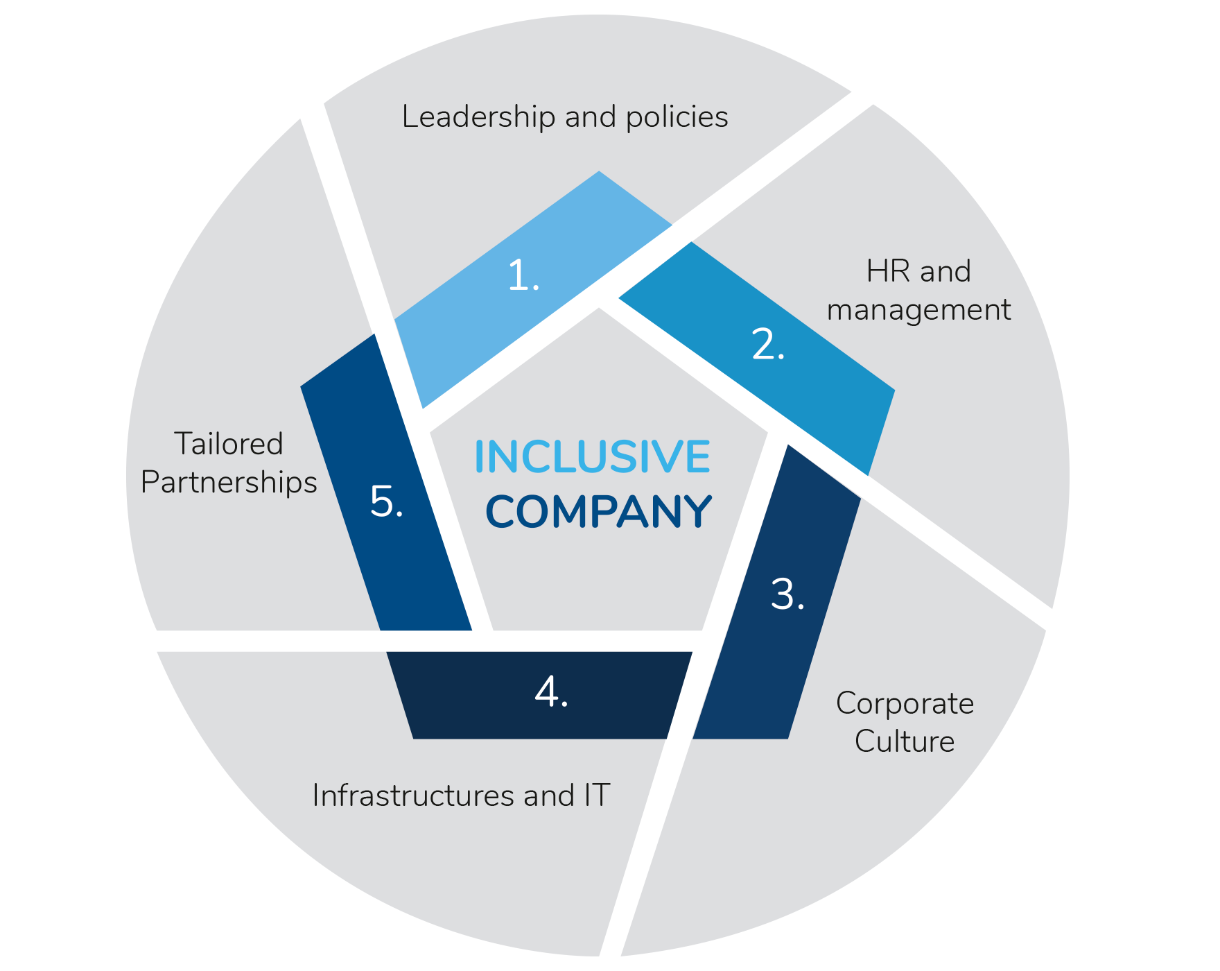 Diagram representing the areas in which HI operates