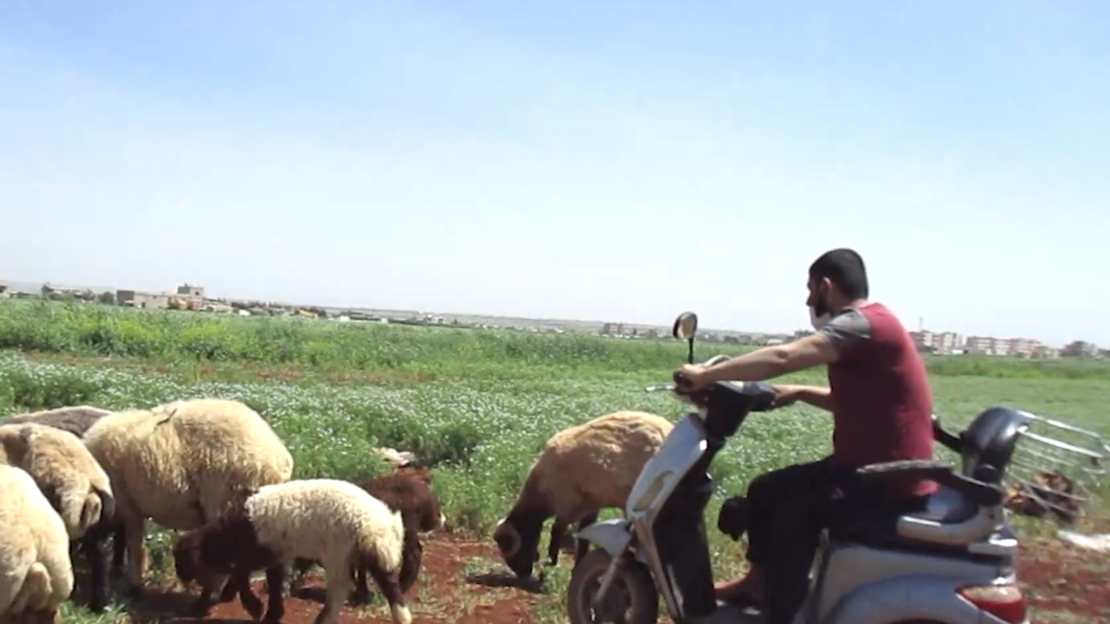 « Quand on est handicapé, on ne peut pas se lever et courir pour se mettre à l'abri. »