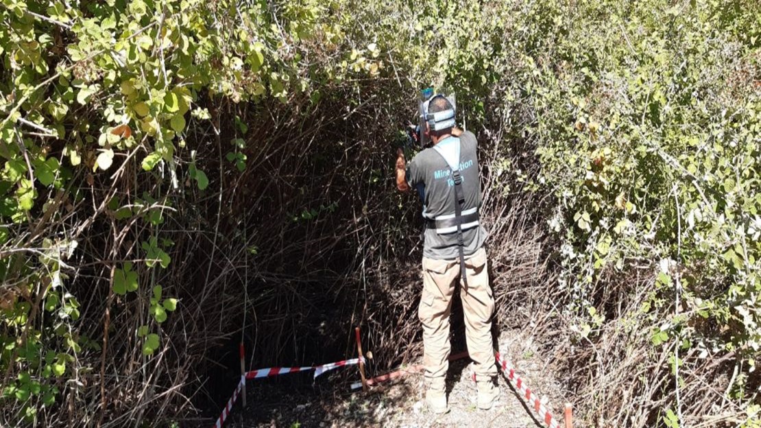 Les mines terrestres restent une menace au Liban