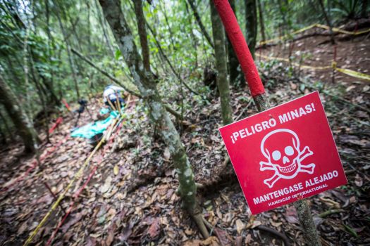 Field where deminers were trained in January 2017 in Cajibío, Cauca department.; }}