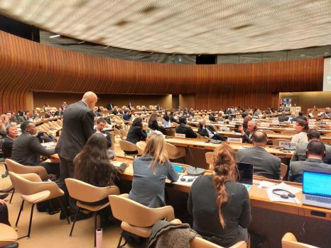 Zoran Jesic, a survivor from landmine, is delivering the statement on Victim Assistance on behalf of the ICBL and stessing the importance for States to assist people injured by landmines and ERW, the families of those killed and injured, and affected communities. ; }}