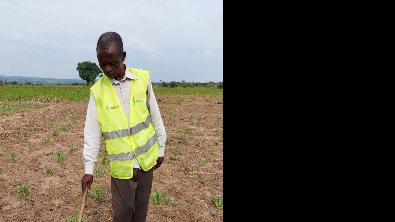 Muamba Nkinda Jean Pierre, 65 ans, est un agriculteur originaire de Dibaya, dans la province du Kasaï en RDC.