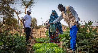 Fadima Hamidou arrose les plantations du jardin partagé. © Imédia Sarl / HI