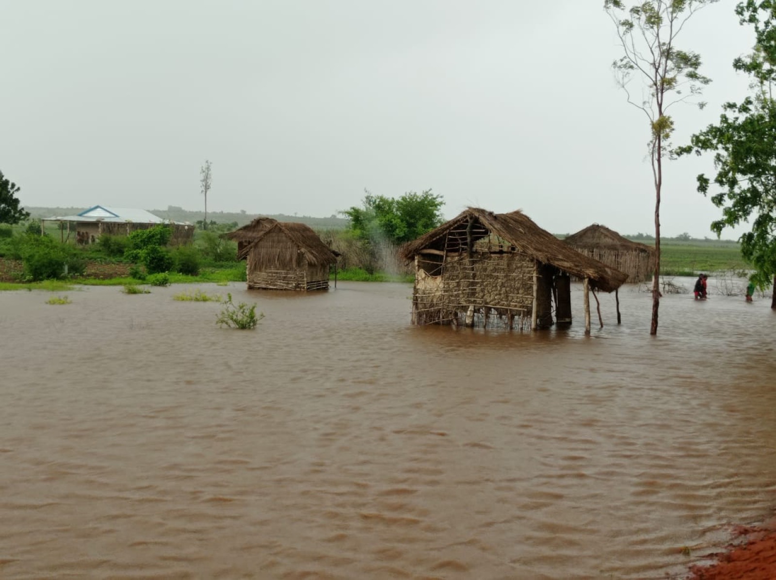 Dégâts causés par le cyclone Batsirai, dans la région d'Atsimo Andrefana, inondations à Analamisamp © HI