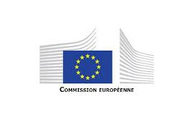 European Commission - Neighbourhood, Development and International Cooperation Instrument logo