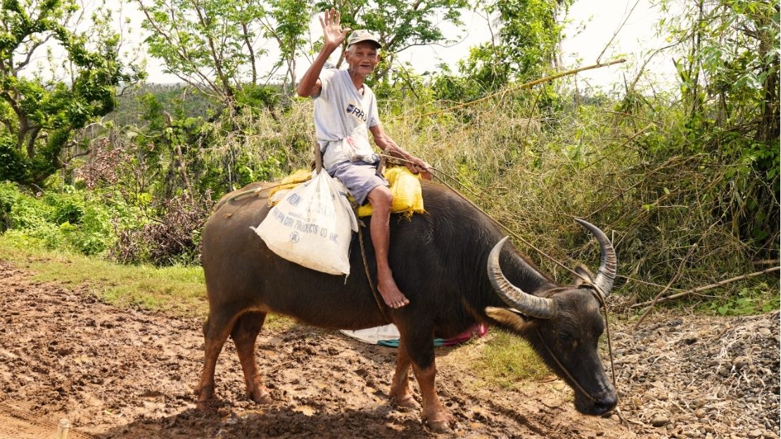 A man is sitting on a cow and waving at the camera.