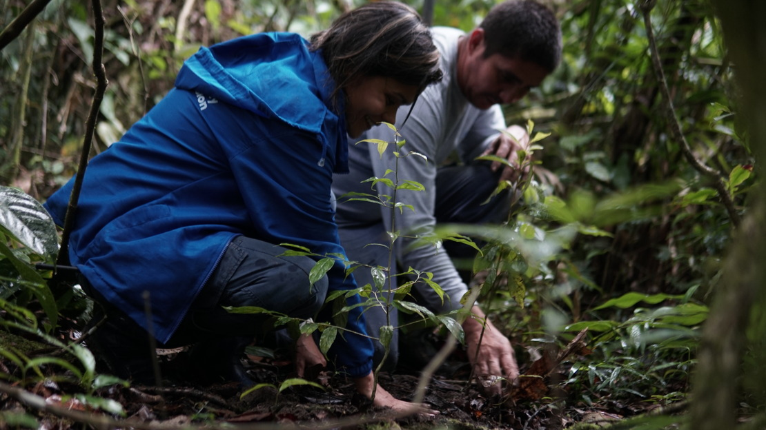 Mine clearance and the environment: HI is committed to preserving biodiversity in Colombia