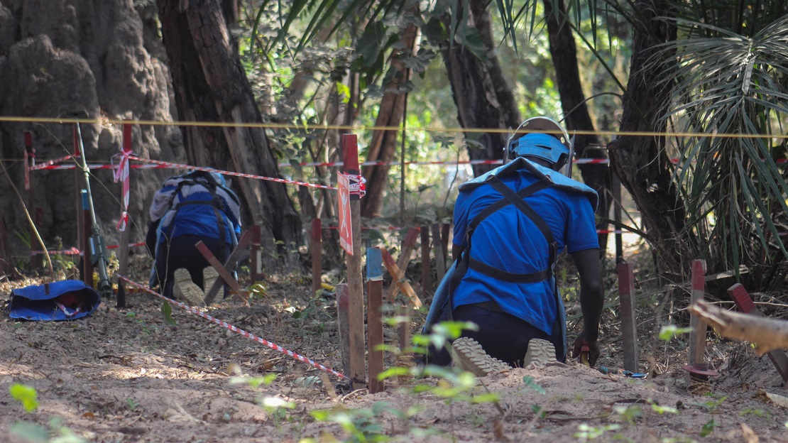 Deux démineurs vus de dos sont agenouillés par terre à l'ombre, dans un corridor délimité par des piquets rouges. Autour d'eux, on devenir la terre et la végétation.; }}
