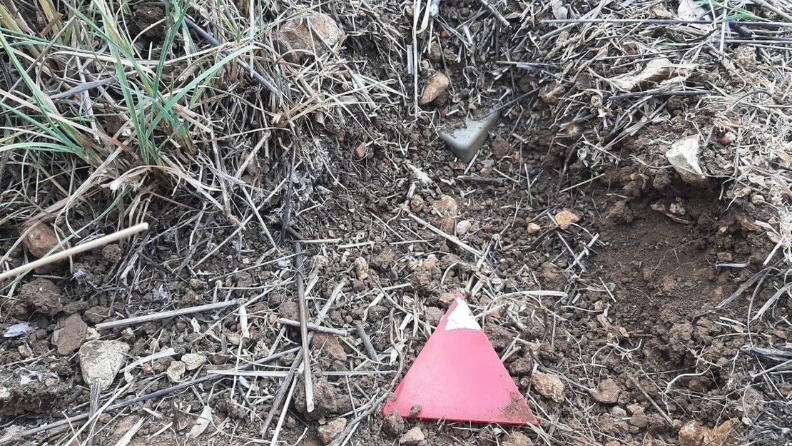 Roger: "The Ottawa Treaty is crucial for our demining operations in Lebanon"