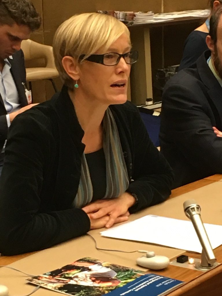 Elke Hottentot delivers ICBL VA statement at 17th MSP